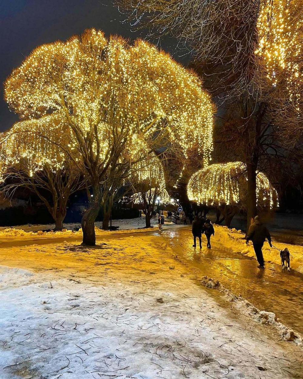 гирлянды для деревьев -занавес