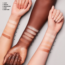 MAC Cosmetics Studio Fix Pro Set + Blur Weightless Loose Powder - Пудра укрепляющая и матирующая оттенок Dark, 6 g