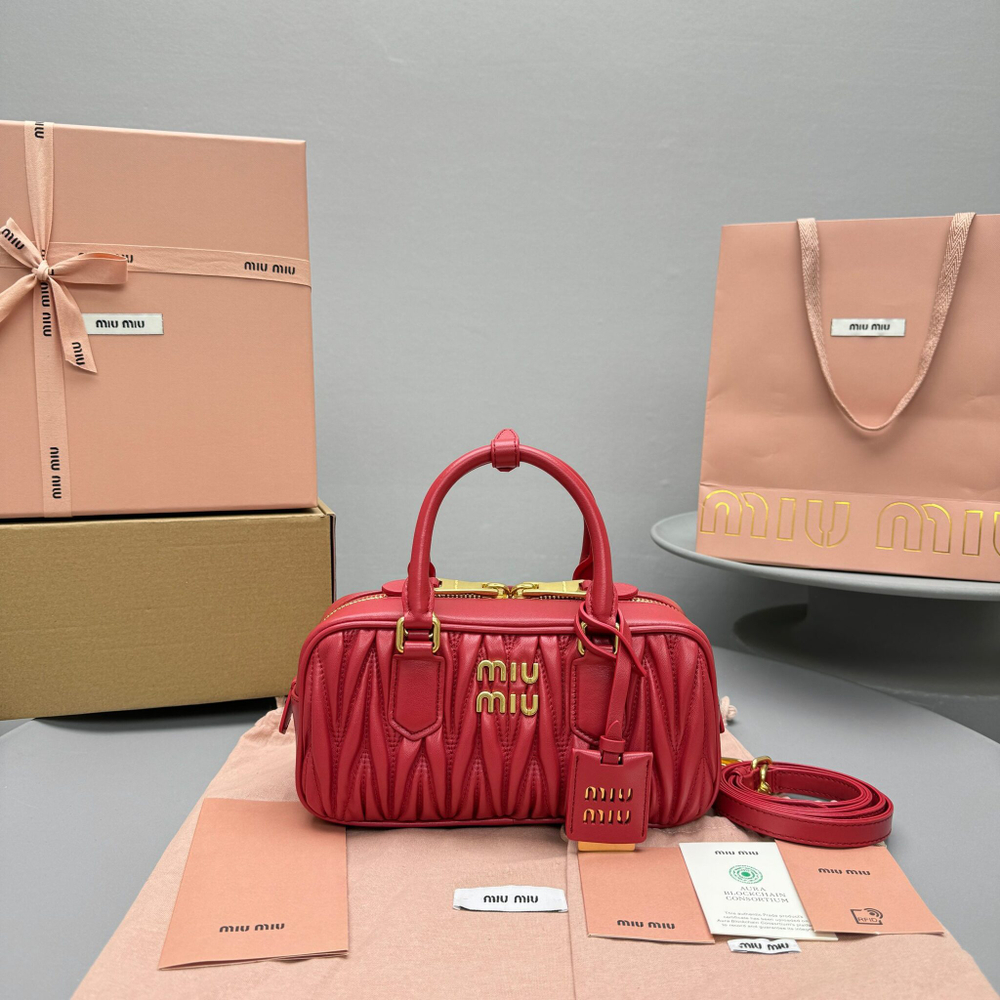 Miu Miu Arcadie Bag 22 cm