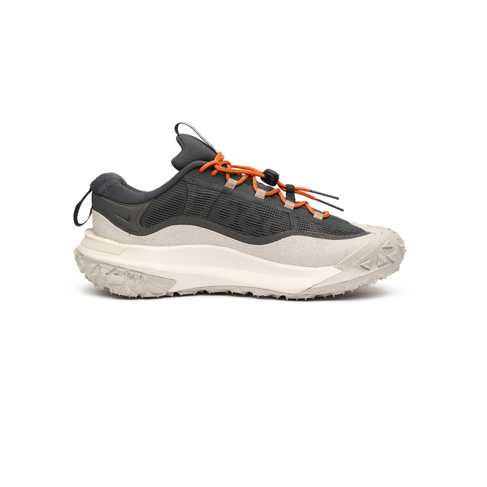 Кроссовки Nike ACG Mountain Fly 2 Low Gore-Tex Dark "Smoke Grey"