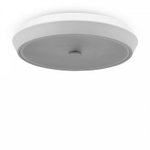 Потолочный светодиодный светильник FR10012CL-L24W