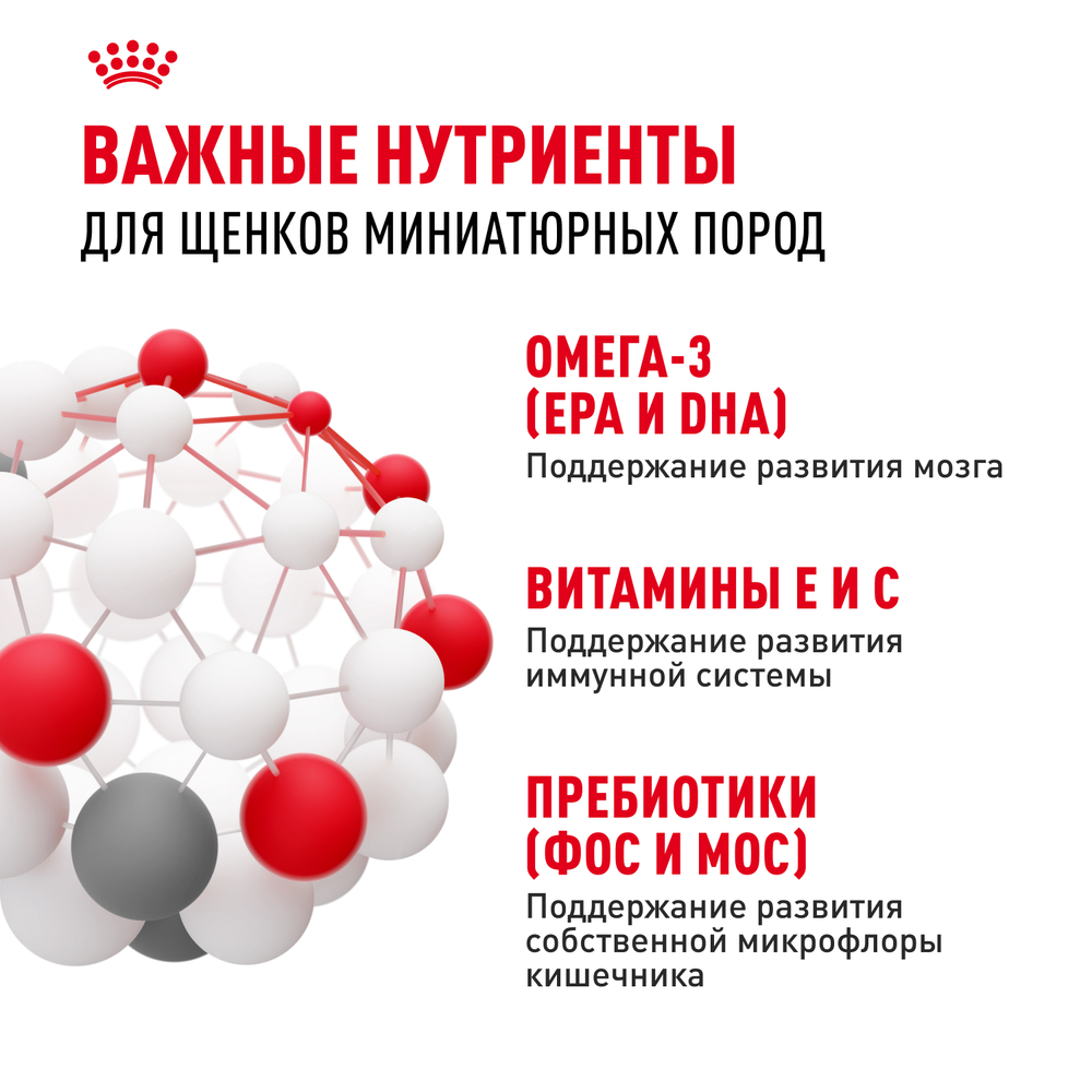Royal Canin X-Small Puppy Икс-Смол Паппи Корм сухой для щенков миниатюрных пород в возрасте до 10 месяцев 500г