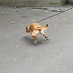 Купить Рубашка Смерч на молнии #5 изумрудная Рубашка Смерч на молнии #5 изумрудная