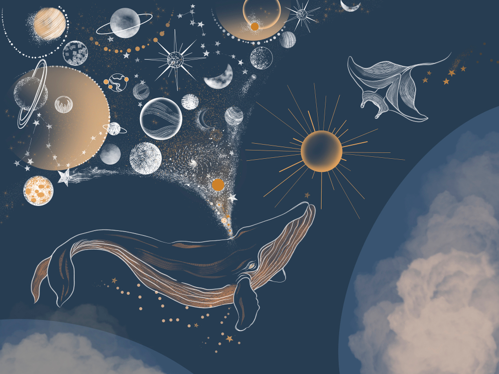 Коллекция COSMOS