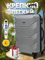 Большой чемодан Freedom Model One, Серебристый, L