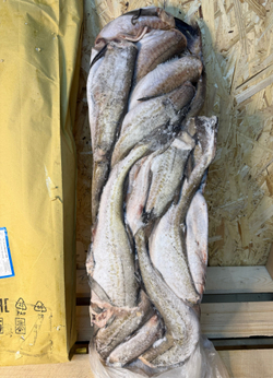 Минтай 35+ Гост 11кг Находка