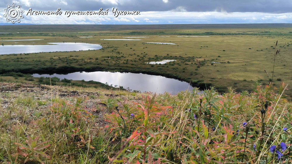 Путешествие на реку Тавайваам