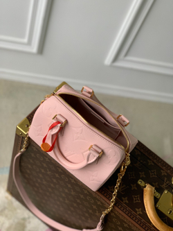 Louis Vuitton Speedy 20