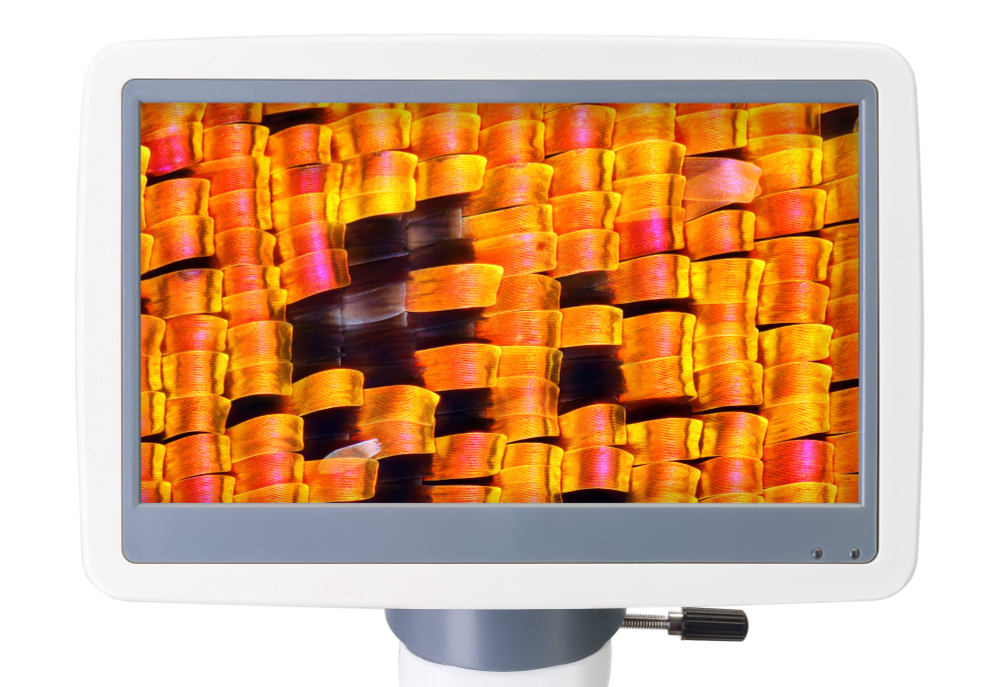 Микроскоп цифровой Levenhuk D95L LCD