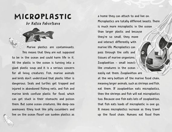 Princess Olivia Investigates