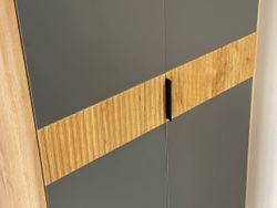 Шкаф двухдверный "Адам" (Дуб крафт золотой/Графит)