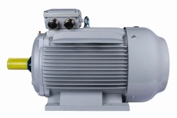 Электродвигатель ESQ PR 315 M4-SDN-Б1-S12-IE2 132/1500 IMB3