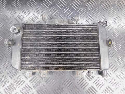 Радиатор Yamaha TDM850 RN03J 2001