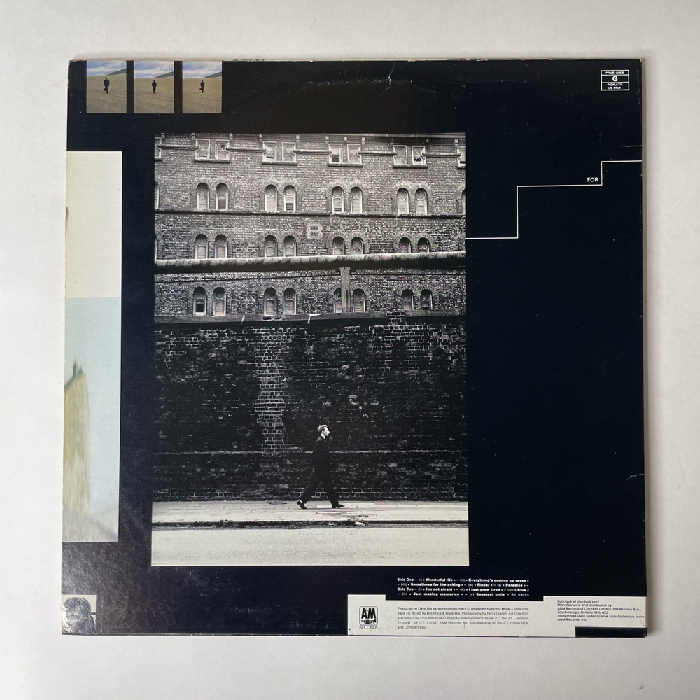 Винтажная виниловая пластинка LP Black Wonderful Life (Канада 1987) Sweetest Smile