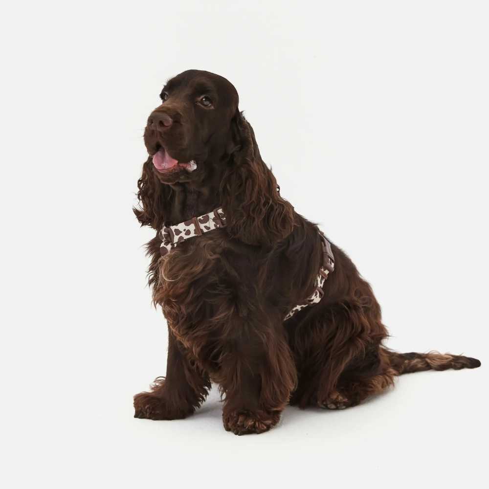 Анатомическая шлейка Cow