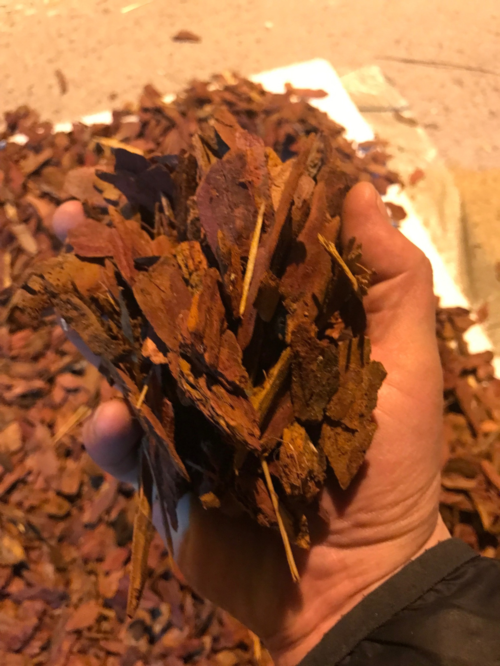Кора сибирской лиственницы, мульча, 60 литров