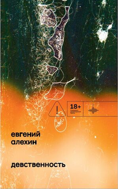 Девственность (электронная книга)