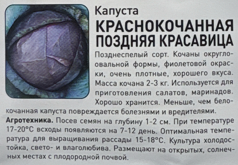 Капуста  к/к Поздняя красавица 0,5 г СМК77