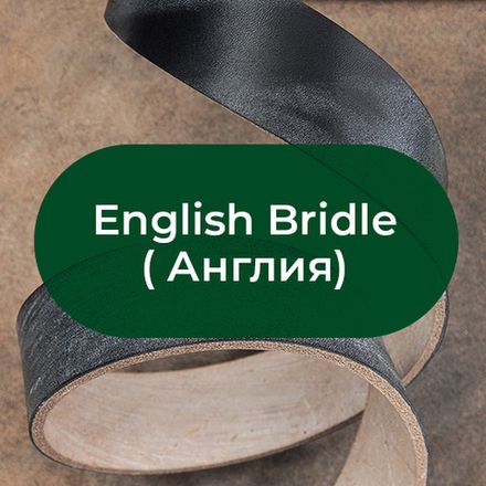 English Bridle (Англия)