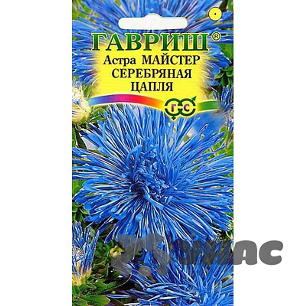 Астра Майстер Серебрянная цапля Гавриш Ц