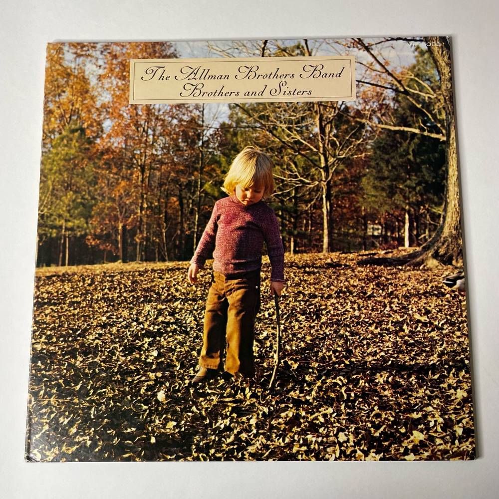Винтажная виниловая пластинка LP The Allman Brothers Band Brothers And Sisters (Japan 1979) (No Obi)