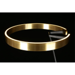 Торшер светодиодный Aployt Leonn APL.653.05.30