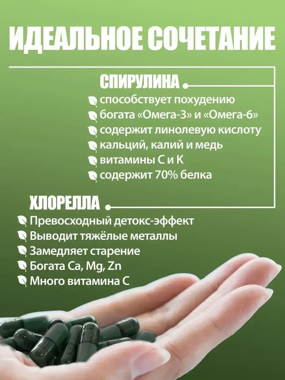 Микс Спирулина+хлорелла (120 капсул)