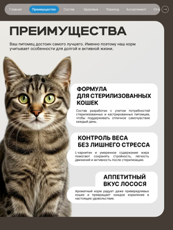 Корм сухой для стерилизованных кошек всех пород, с лососем, 5 кг, QUATTRO