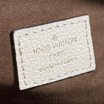 Louis Vuitton Bumbag