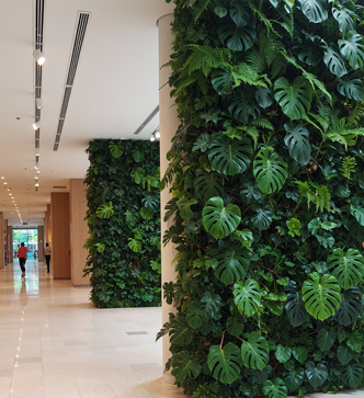 Вертикальное озеленение