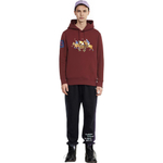 Худи Polo Ralph Lauren SS22 Logo, 710823853-004