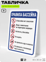 Табличка для бассейна "Правила бассейна", на пляж, для общественной и частной зоны отдыха, информационная, 40х30 см, Silver Plane x Айдентика Технолоджи