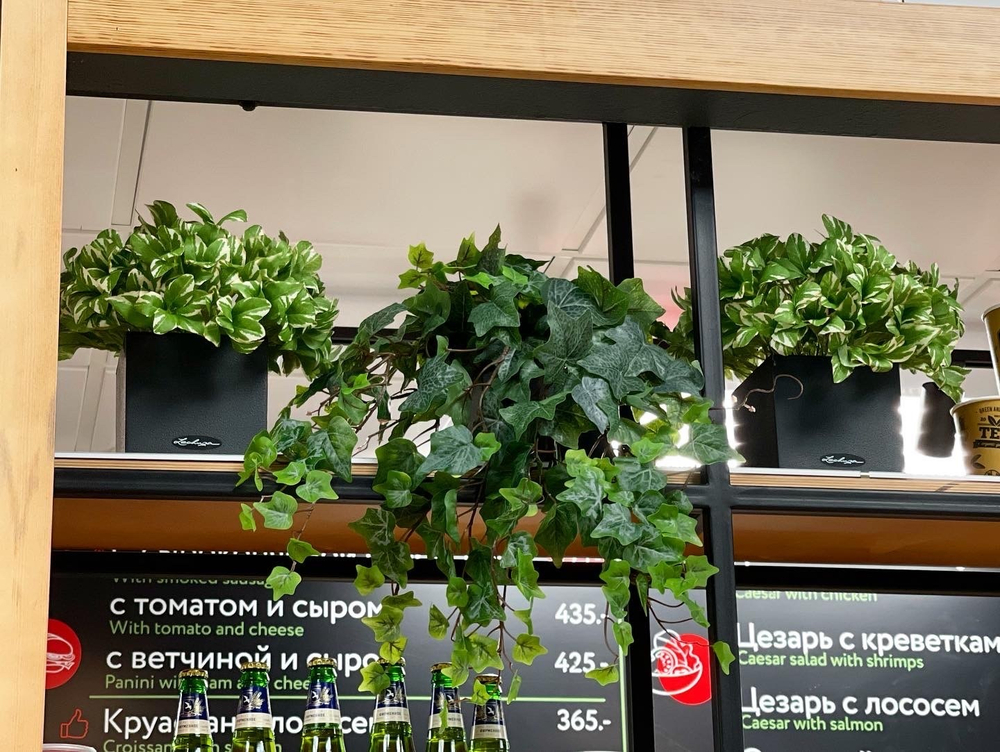 Озеленение искусственными растениями ресторана в аэропорту Краснодара