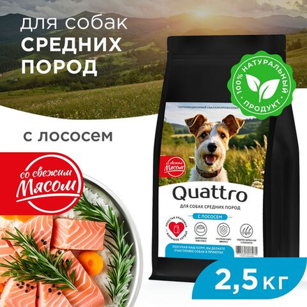 Корм сухой для взрослых собак средних пород, премиум полнорационный сбалансированный, с лососем, 2,5 кг, QUATTRO