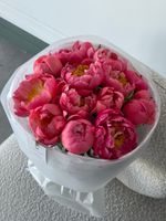 Букет из пионов сорта Корал Шарм 15 шт