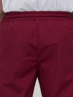 Брюки мужские повара кондитера "Вишня" , цвет бордовый