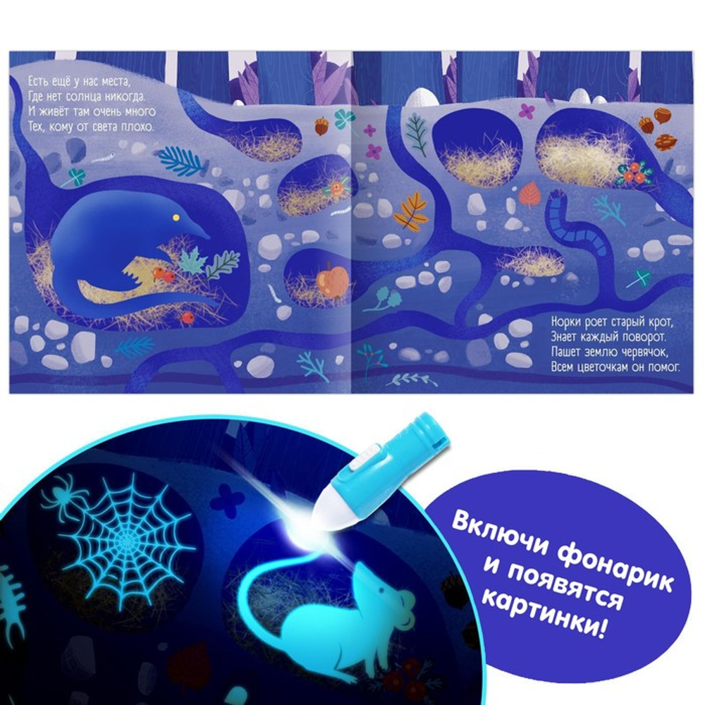 Книга с фонариком "Что происходит в темноте?", 24 стр.