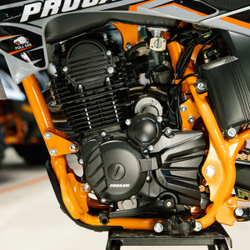 Мотоцикл эндуро PROGASI PALMA 250 Orange 21/18