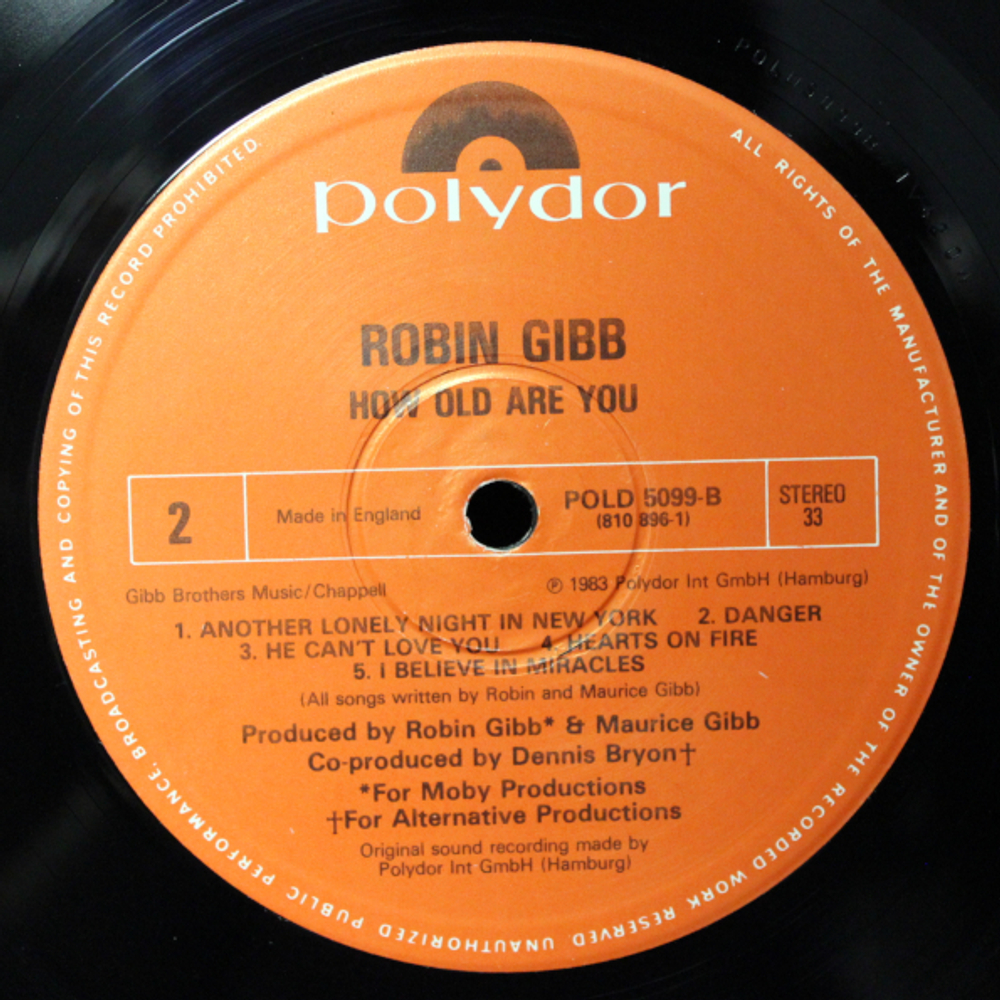 Robin Gibb / How Old Are You? (LP)