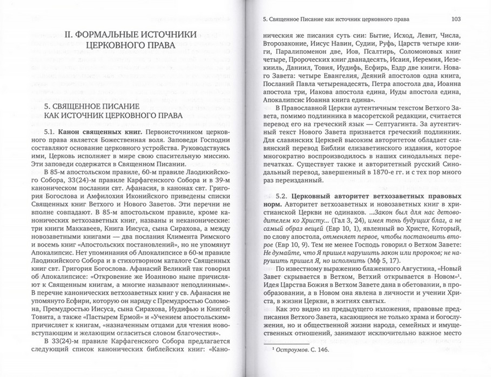 Каноническое право. Протоиерей Владислав Цыпин
