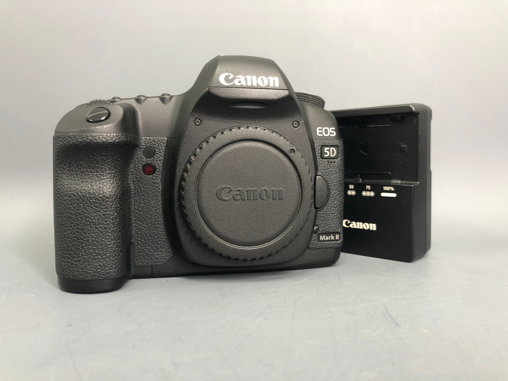 Canon EOS 5D Mark II 133.000 кадров