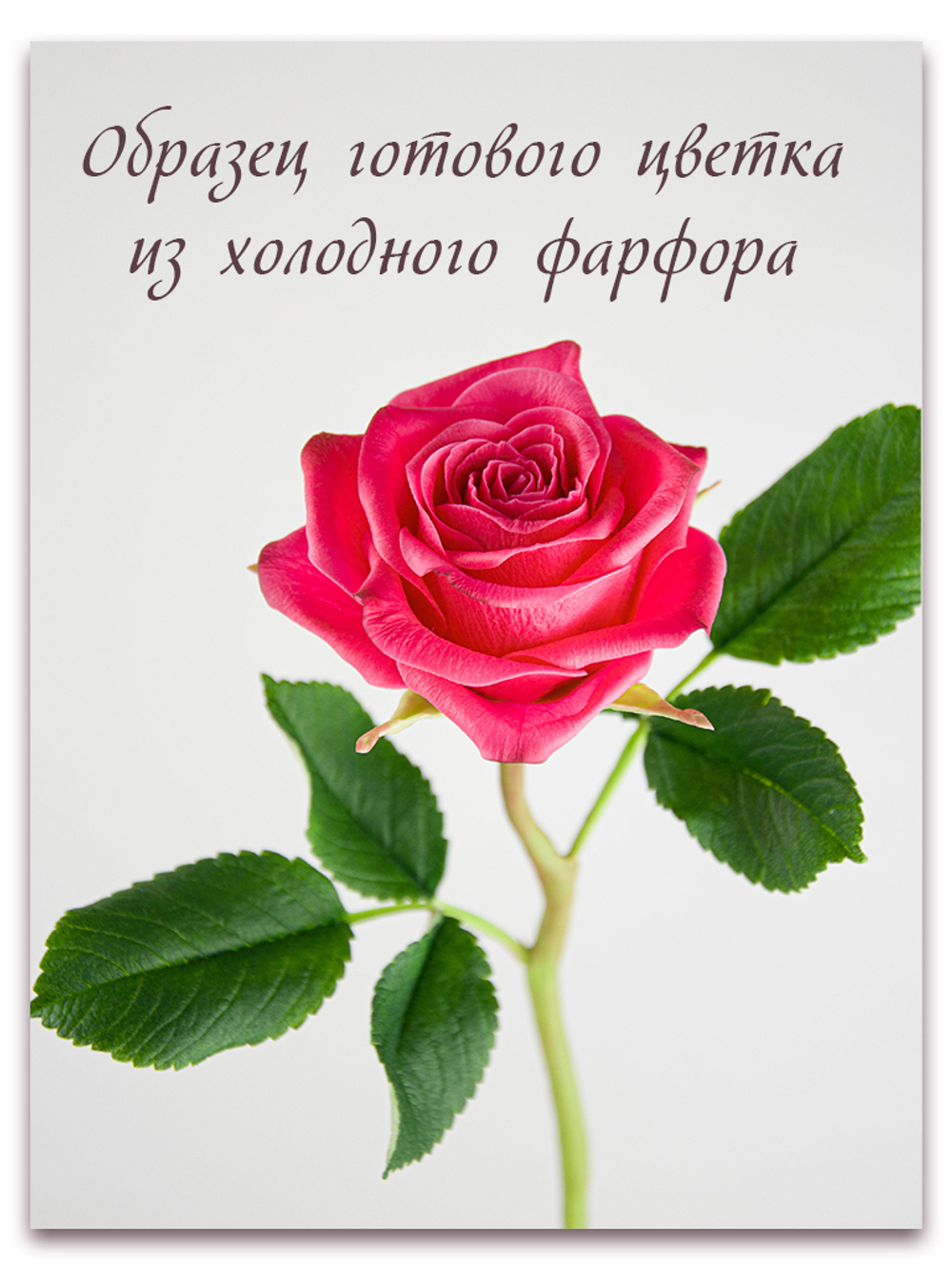 Лепесток розы универсальный. Для роз от маленького до среднего размера.