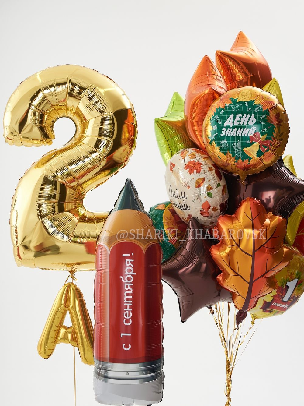Воздушные шары на 1 сентября №1/62  Изображение2