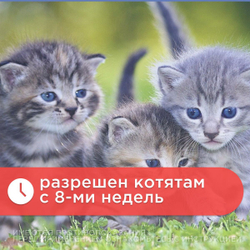 Капли от блох и клещей АВЗ Барс форте для кошек, 3 пипетки/1,0 мл