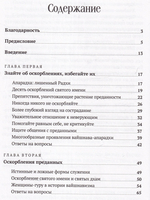 Радха Шунья. Утраченная милость.