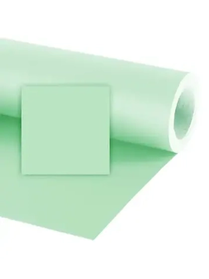 Фон бумажный Raylab 053 Mug wort полынь 2.72x11 м