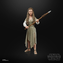 Hasbro Star Wars The Black Series - Фигурка принцессы Леи (Деревня эвоков) 15 см F4352