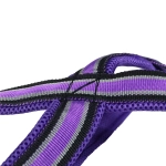 Комплект амуниции для байкджоринга и догскутеринга White Wolf серия Спорт