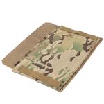 Абдоминанальный модуль, Genesis