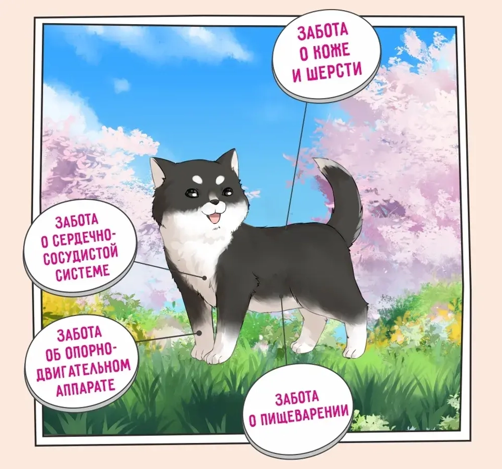 Сухой корм для щенков ZILLII (Зилли) Puppy 15кг индейка и ягненок